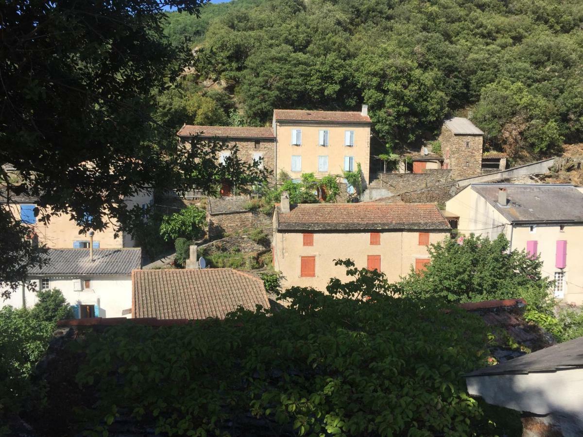 Les Volets Verts Miraval-Cabardes Buitenkant foto